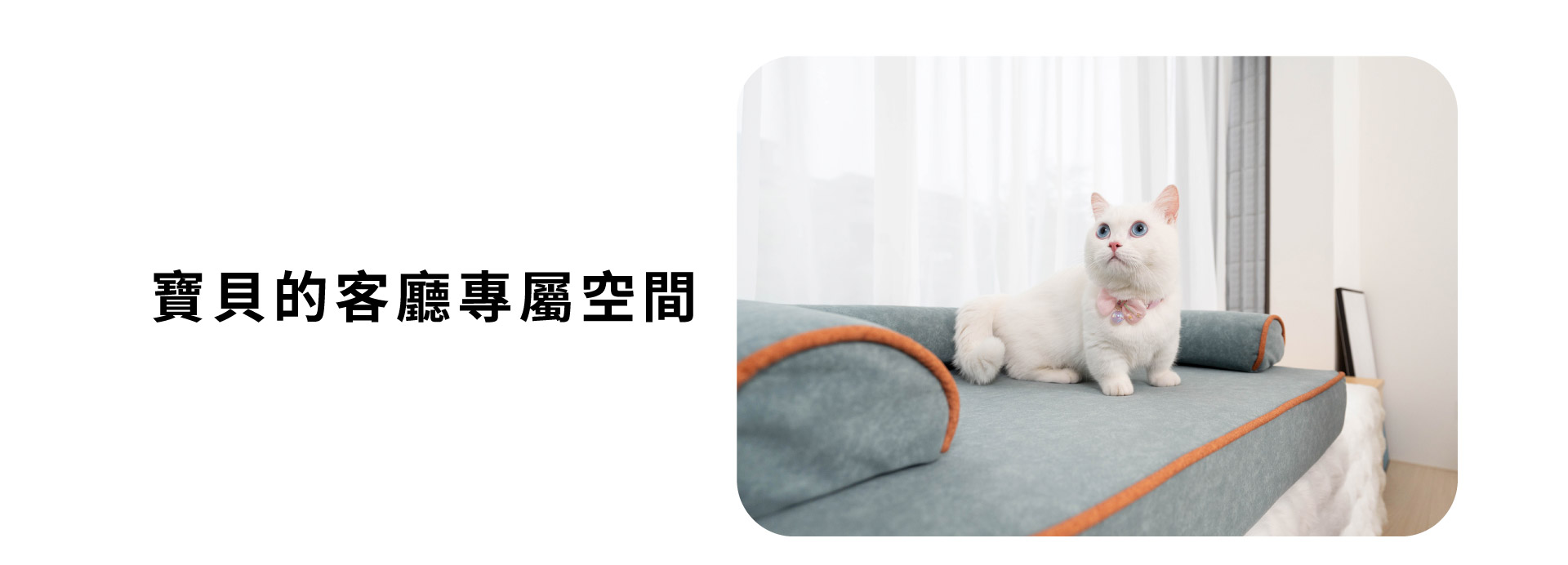 寶貝的客廳專屬空間