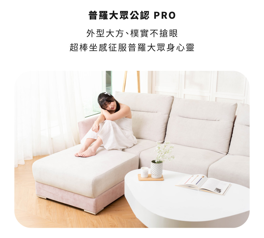 普羅大眾公認Pro