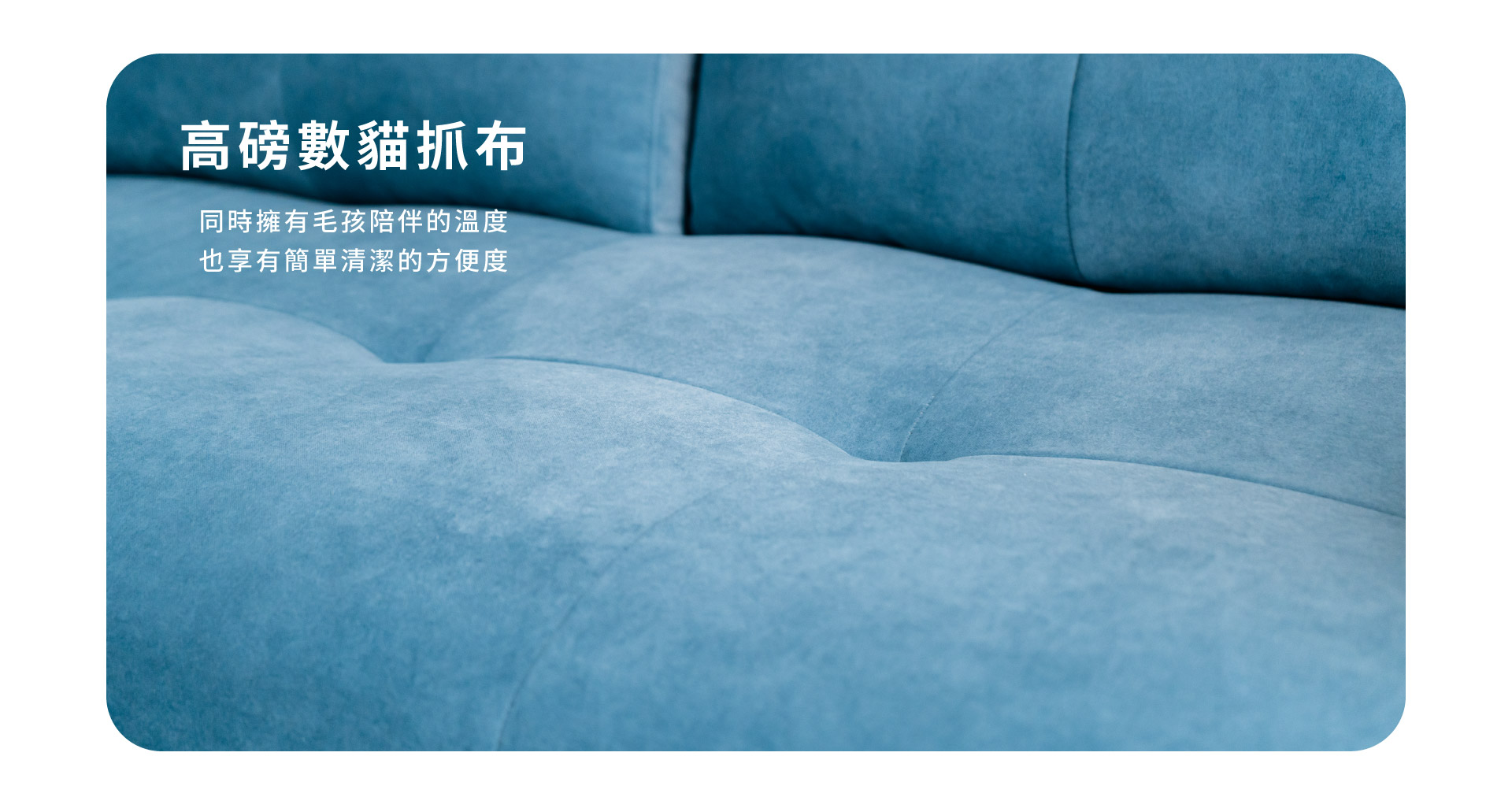高磅數貓抓布