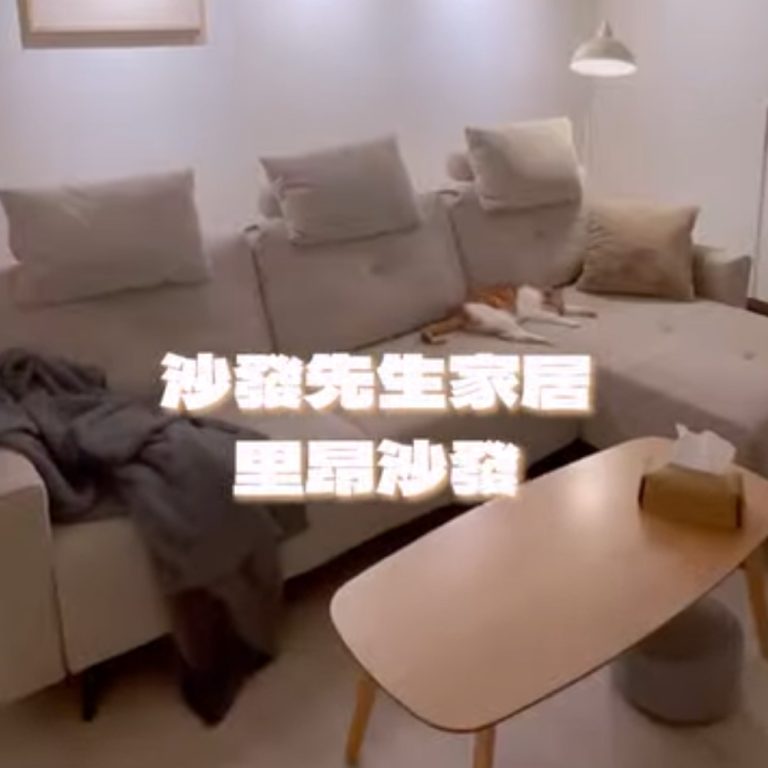 舜舜安仔 X 里昂沙發