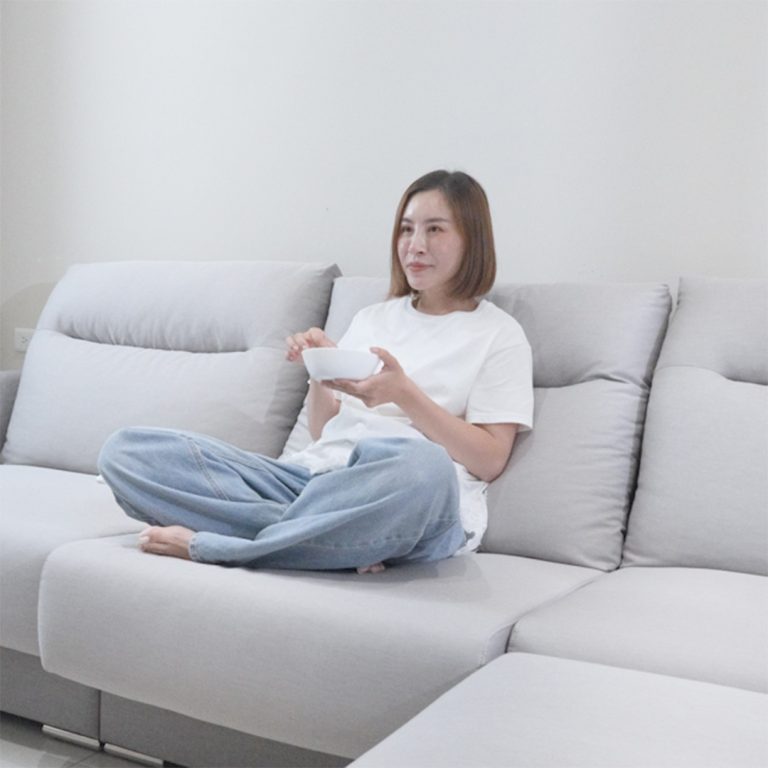 雙娜 X 普羅沙發
